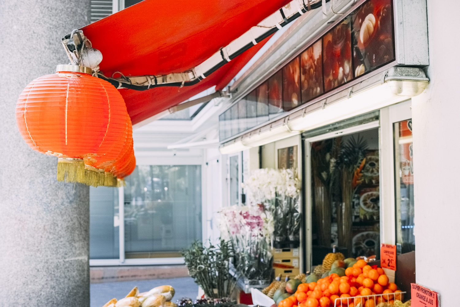 chinese_quarter_paris_france_thevoyageur001