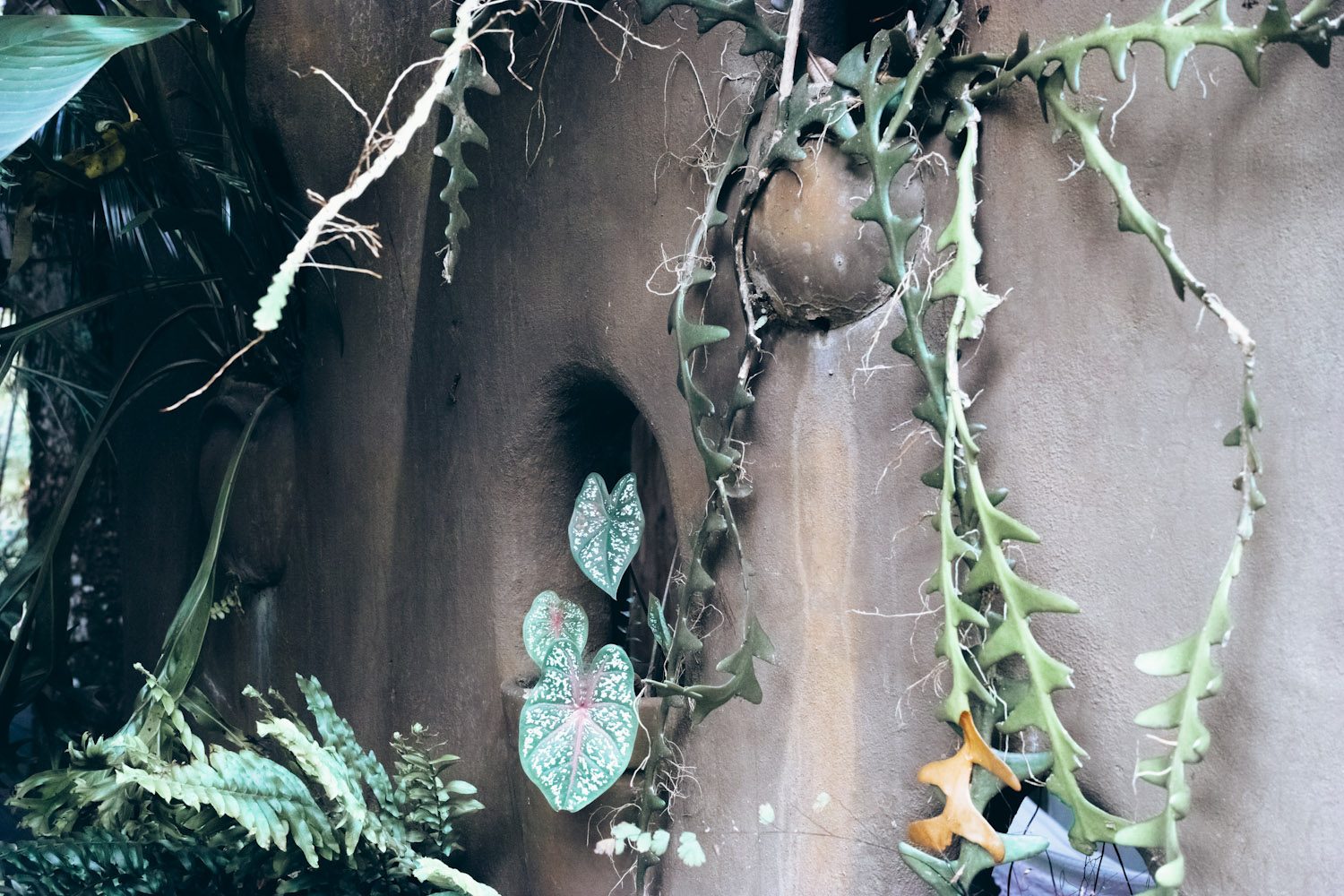 details_uxua_trancoso_brazil_thevoyageur007