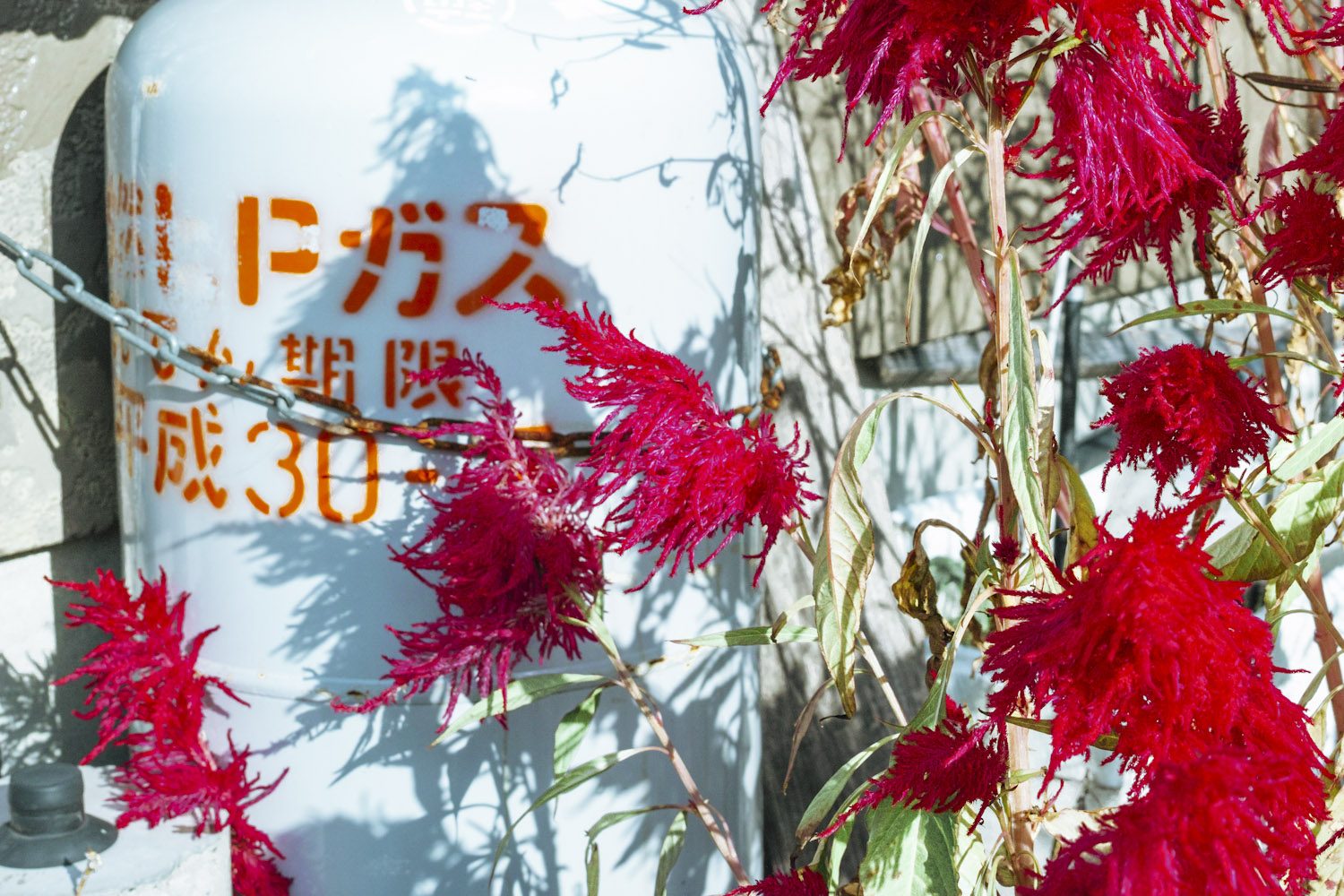 graphictour_amakusa_japan_thevoyageur009