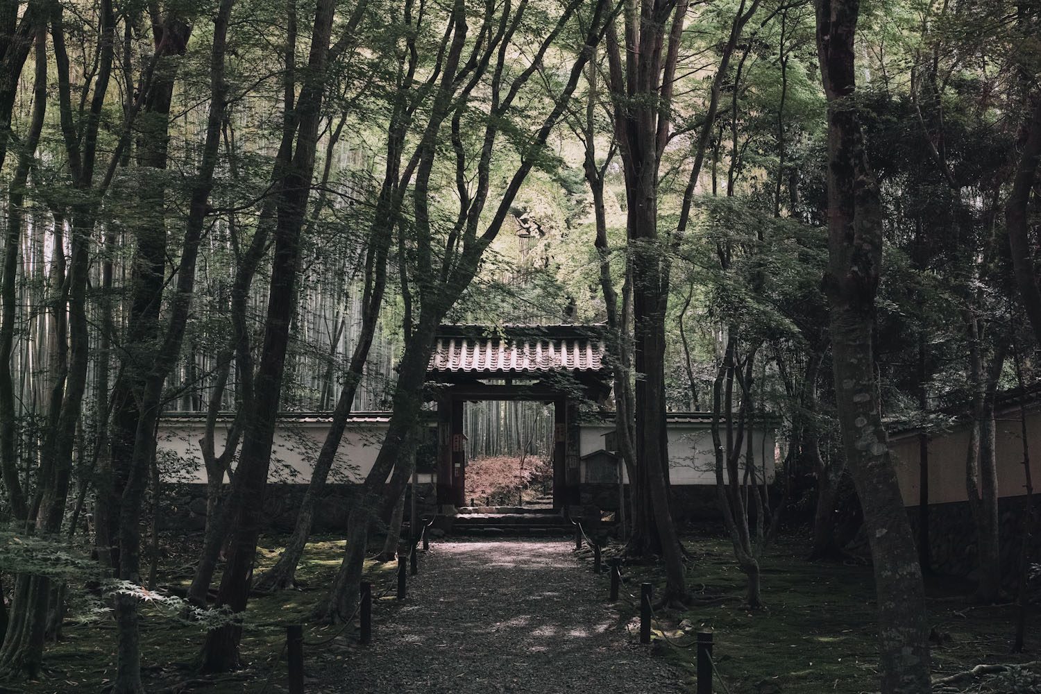 jizoin_bamboo_temple_kyoto_japan_thevoyageur003
