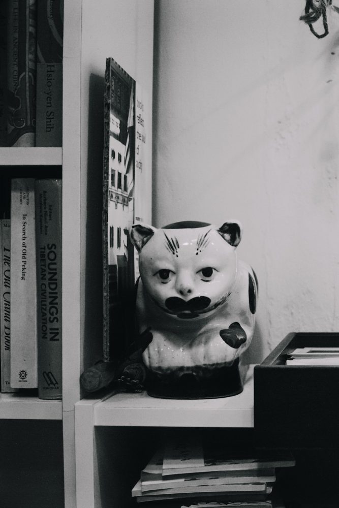 bookstore_hongkong_thevoyageur13