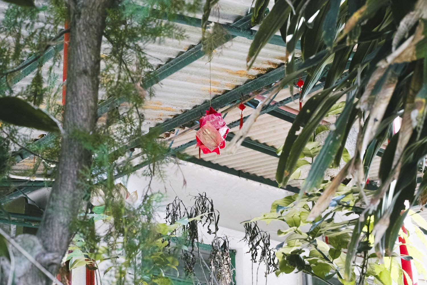 peng_chau_island_hongkong_china_thevoyageur024