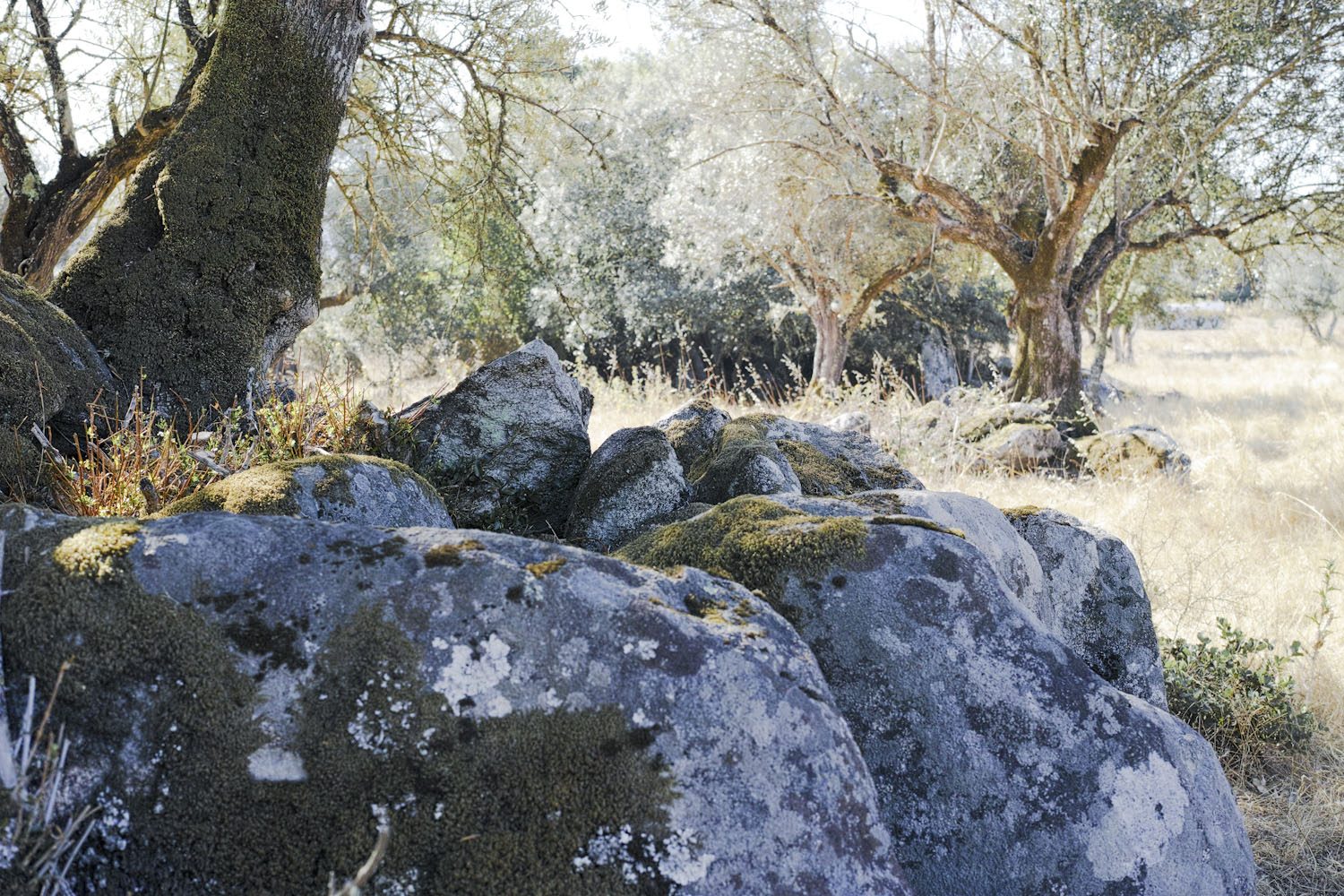 alentejo_portugal_thevoyageur002