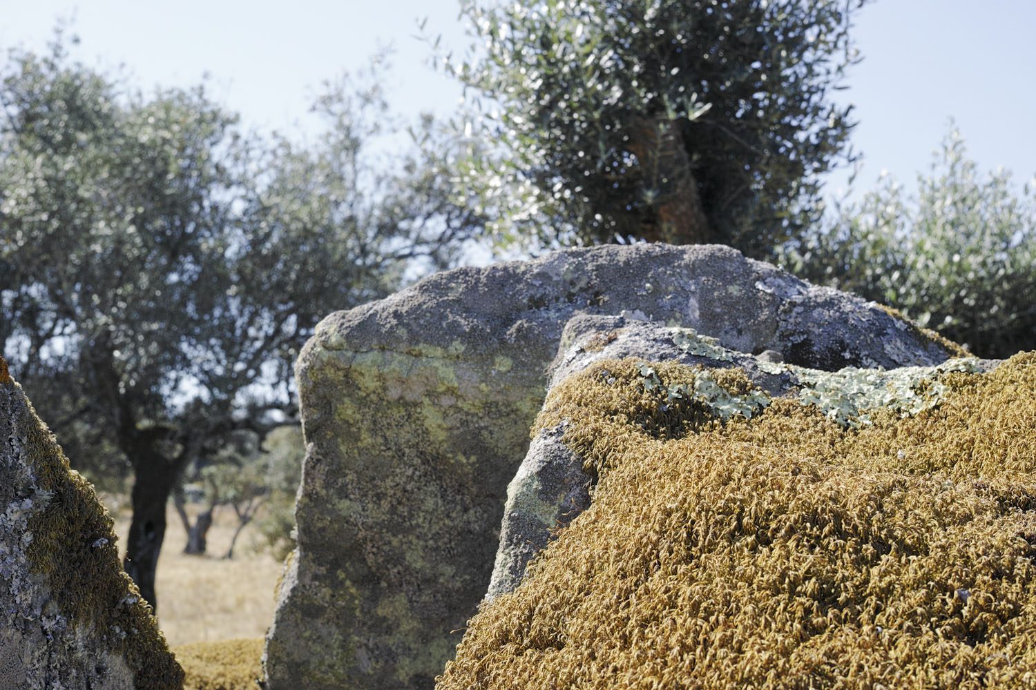 alentejo_portugal_thevoyageur005
