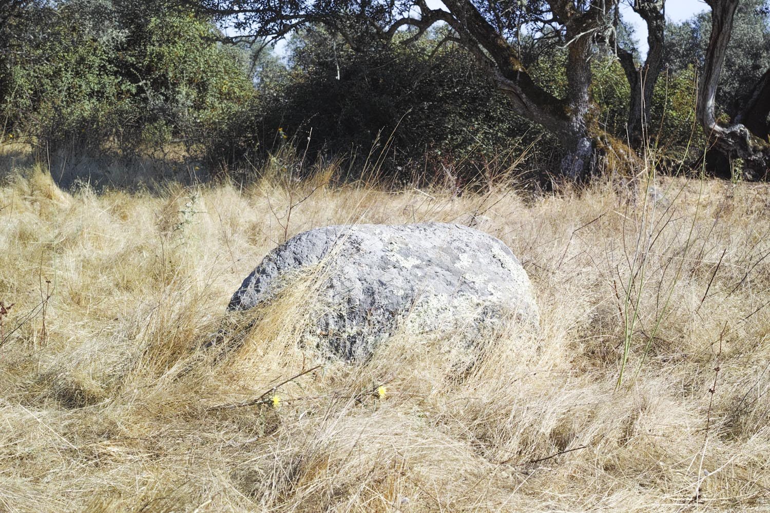 alentejo_portugal_thevoyageur011