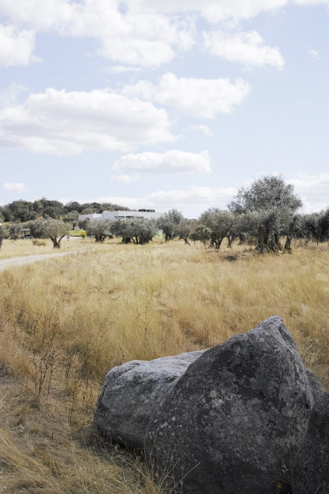 alentejo_portugal_thevoyageur017
