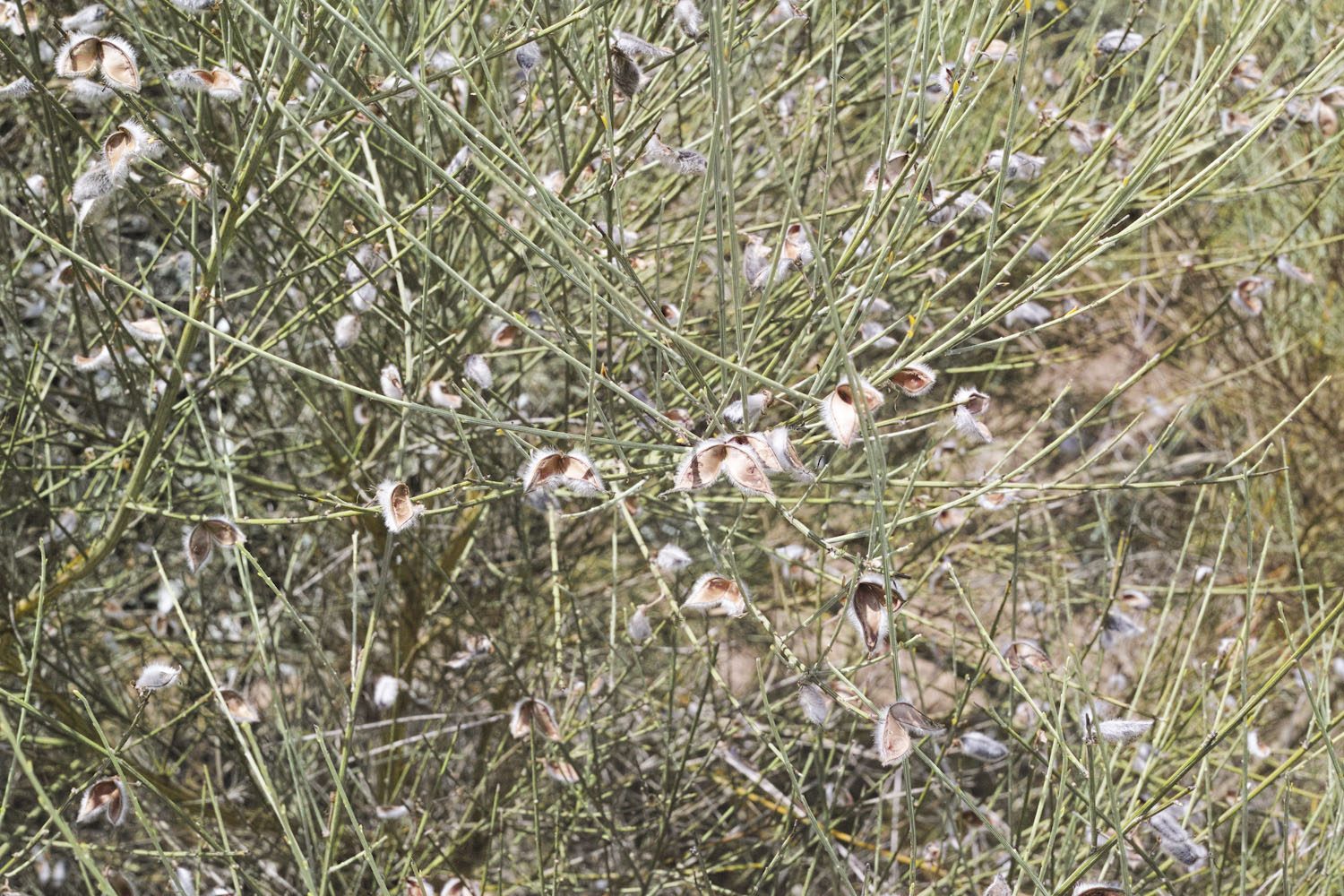 alentejo_portugal_thevoyageur019