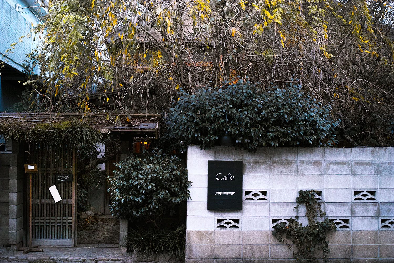coffee_papparayray_fukuoka_japan_thevoyageur002
