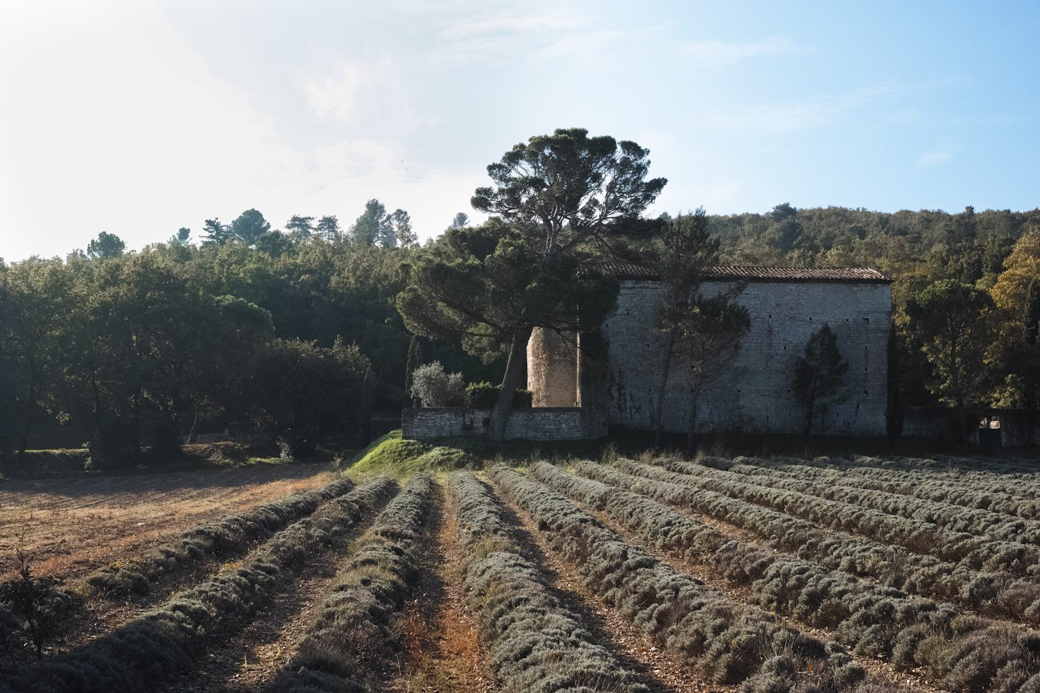 themood_drome_october_france_thevoyageur012