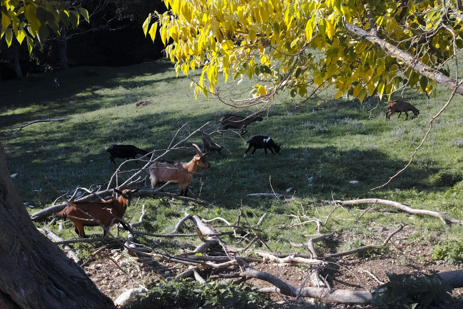 themood_drome_october_france_thevoyageur017