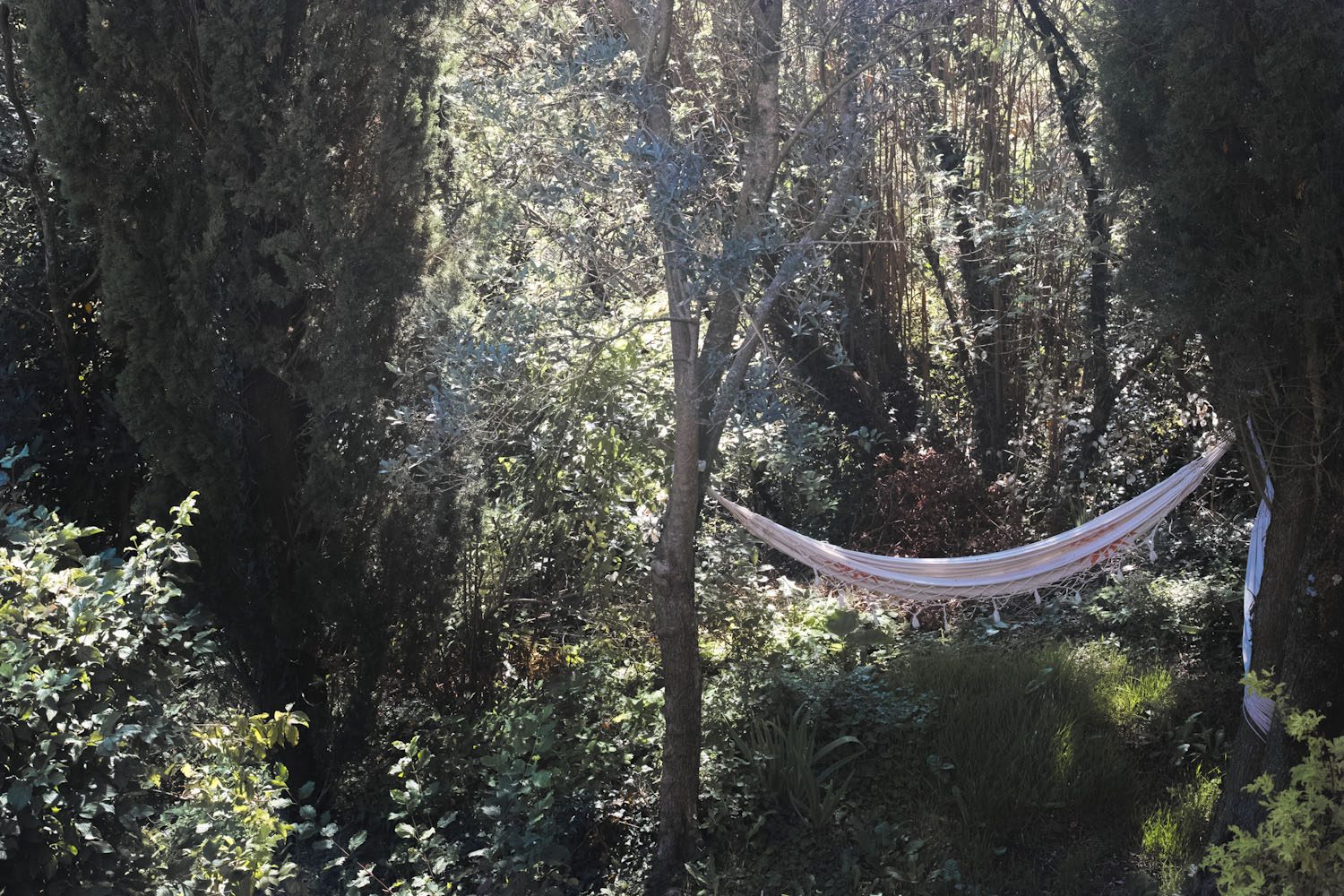 themood_drome_october_france_thevoyageur022