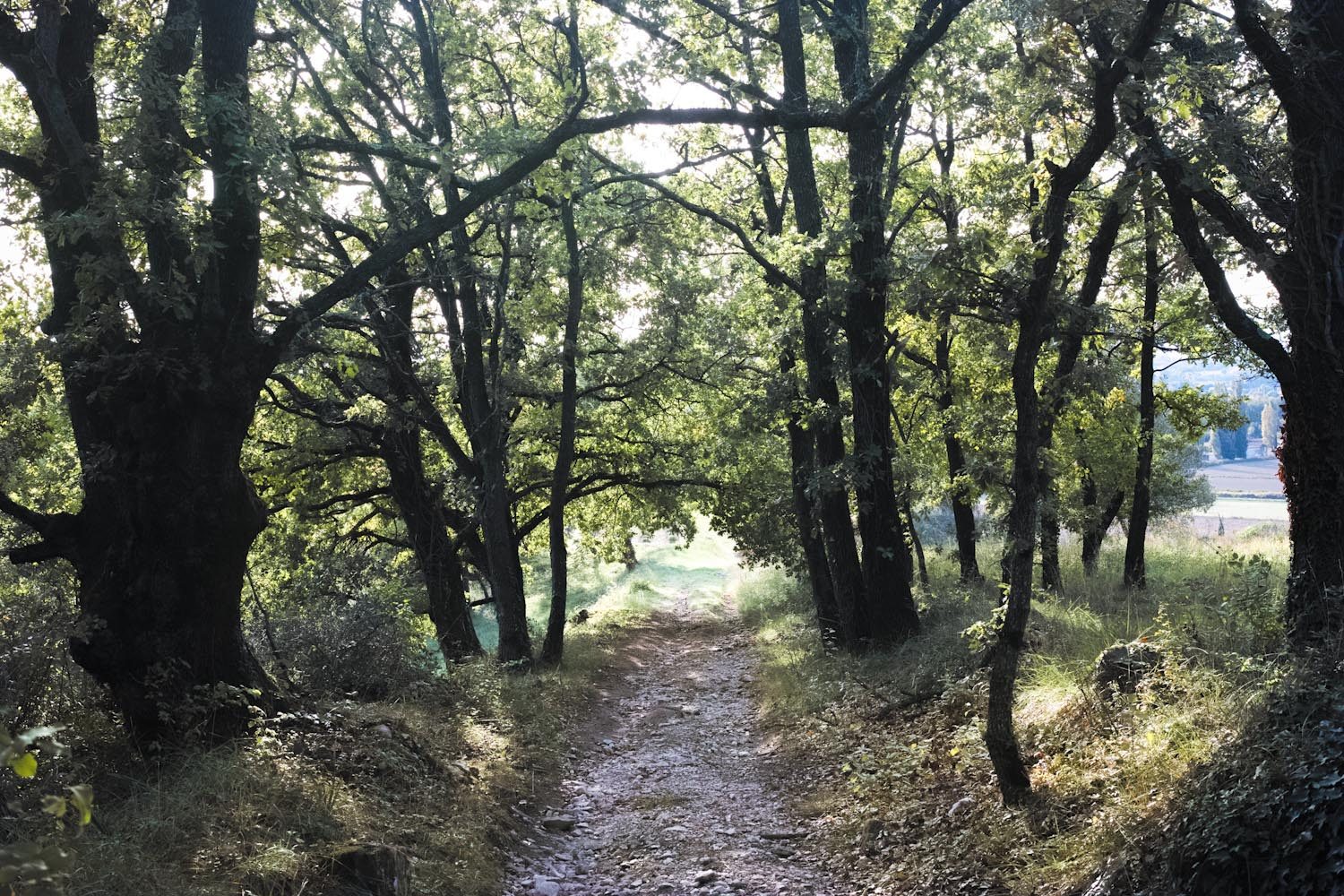 themood_drome_october_france_thevoyageur026