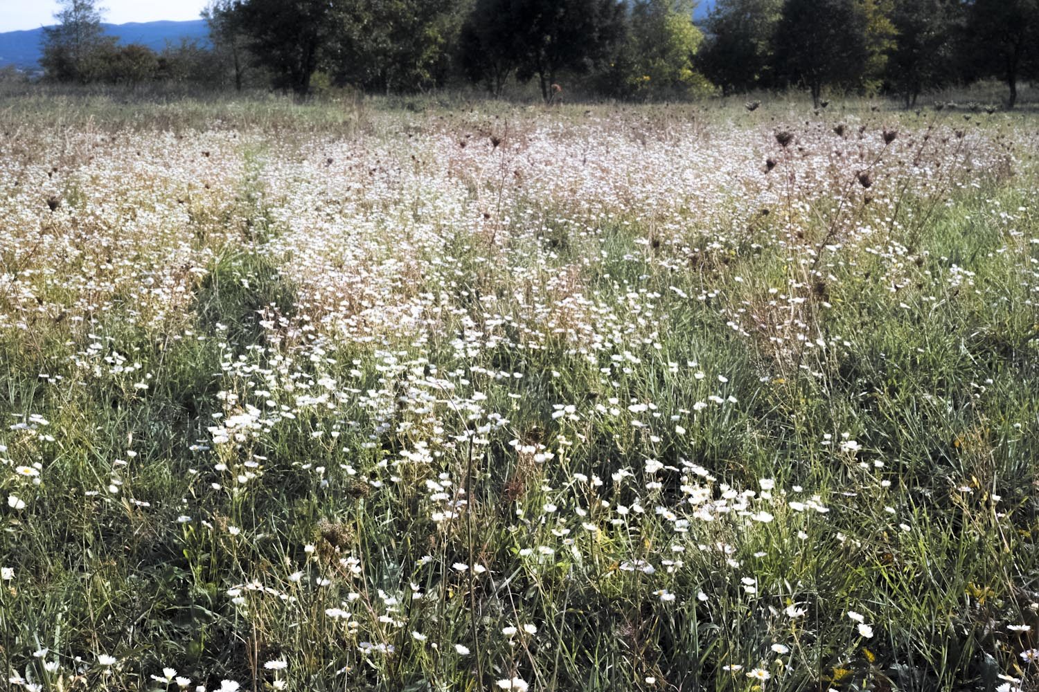 themood_drome_october_france_thevoyageur027