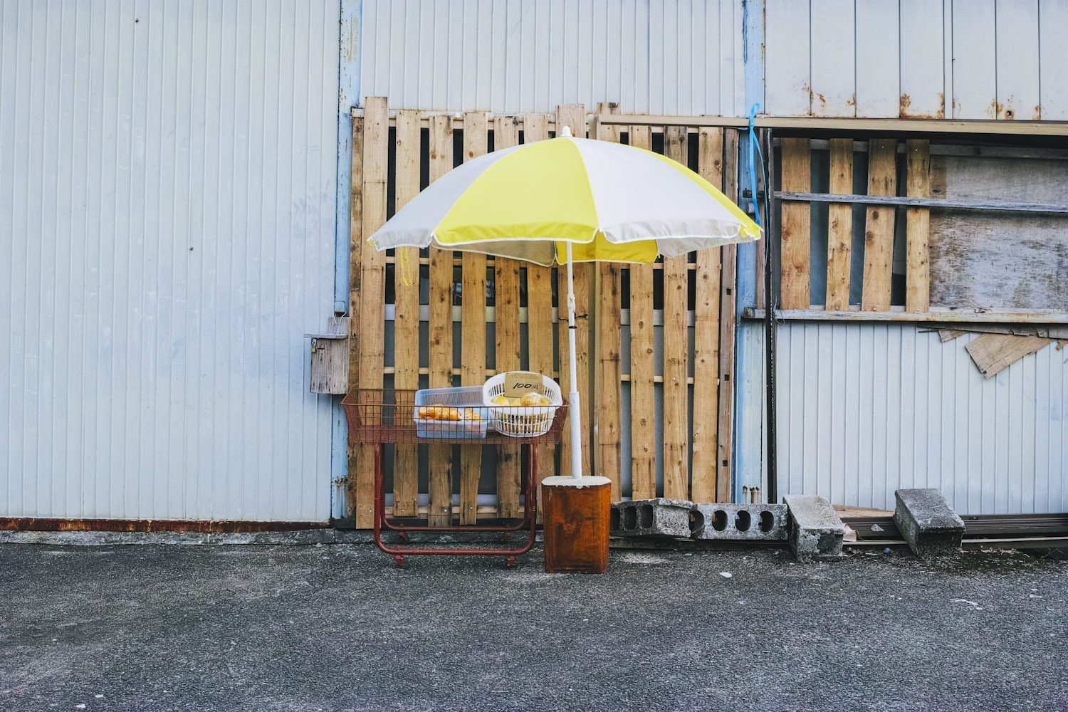 themood_onoaida_yakushima_japan_thevoyageur005