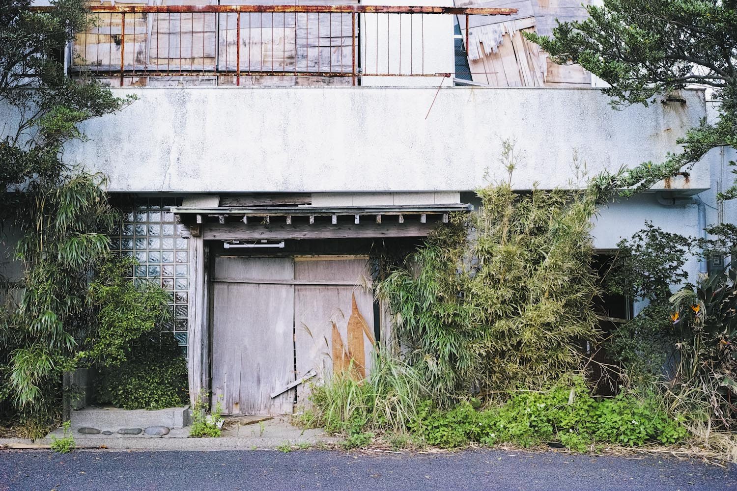 themood_onoaida_yakushima_japan_thevoyageur009