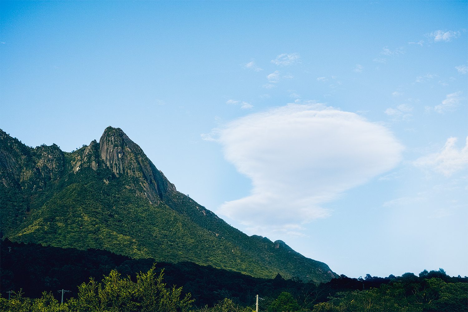 themood_onoaida_yakushima_japan_thevoyageur002