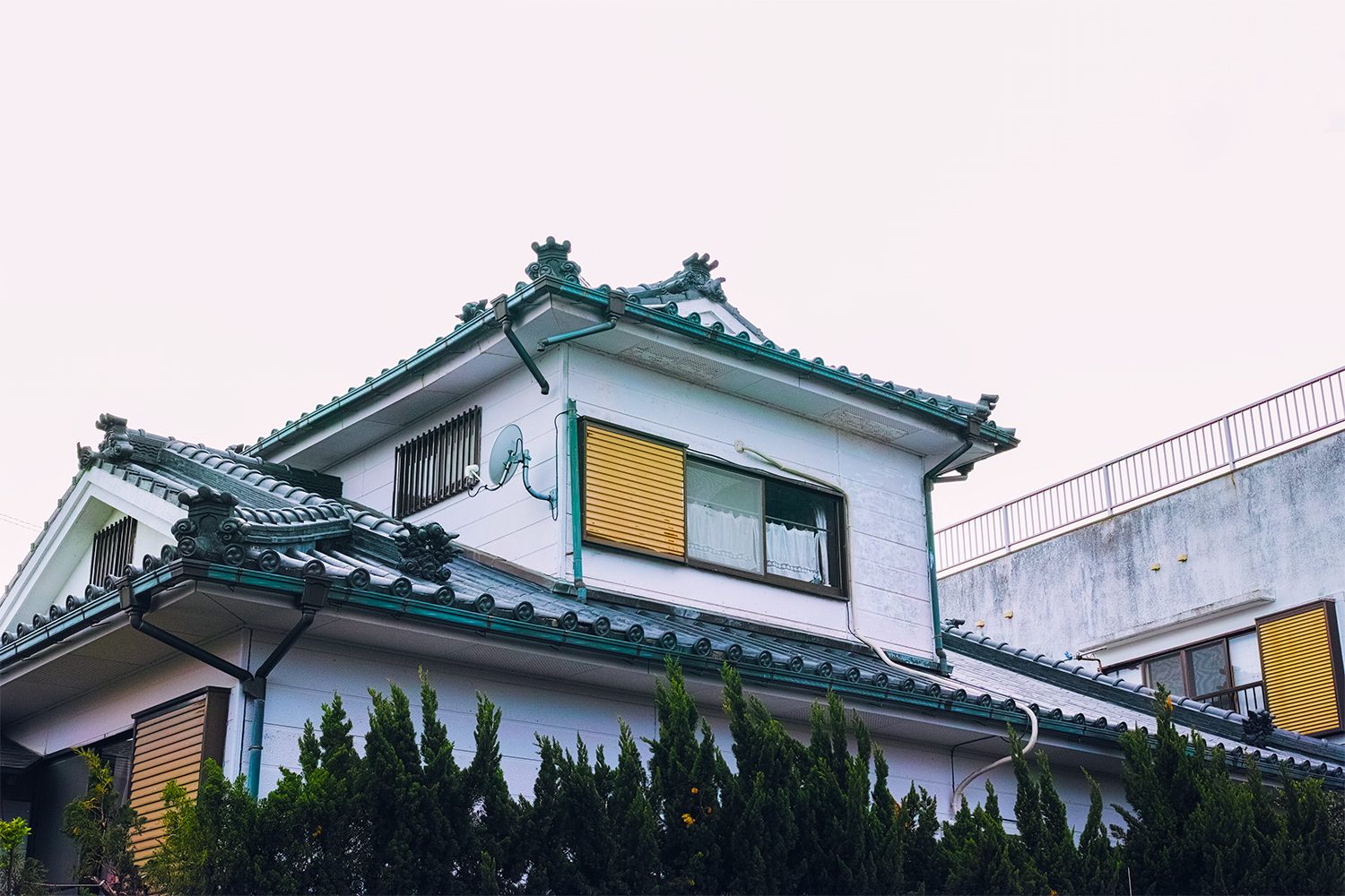 themood_onoaida_yakushima_japan_thevoyageur006