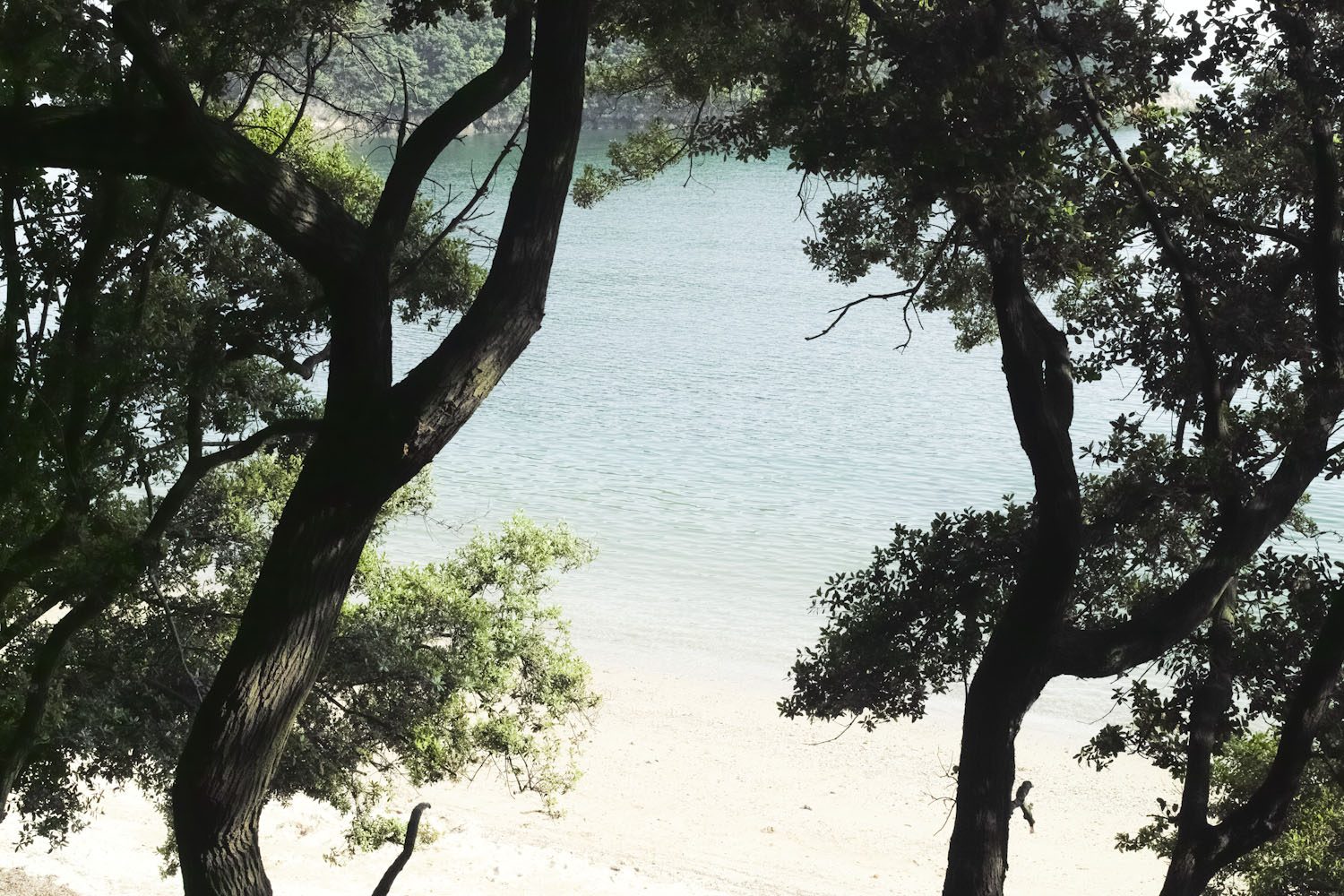 sensuijima_camp_japan_thevoyageur001