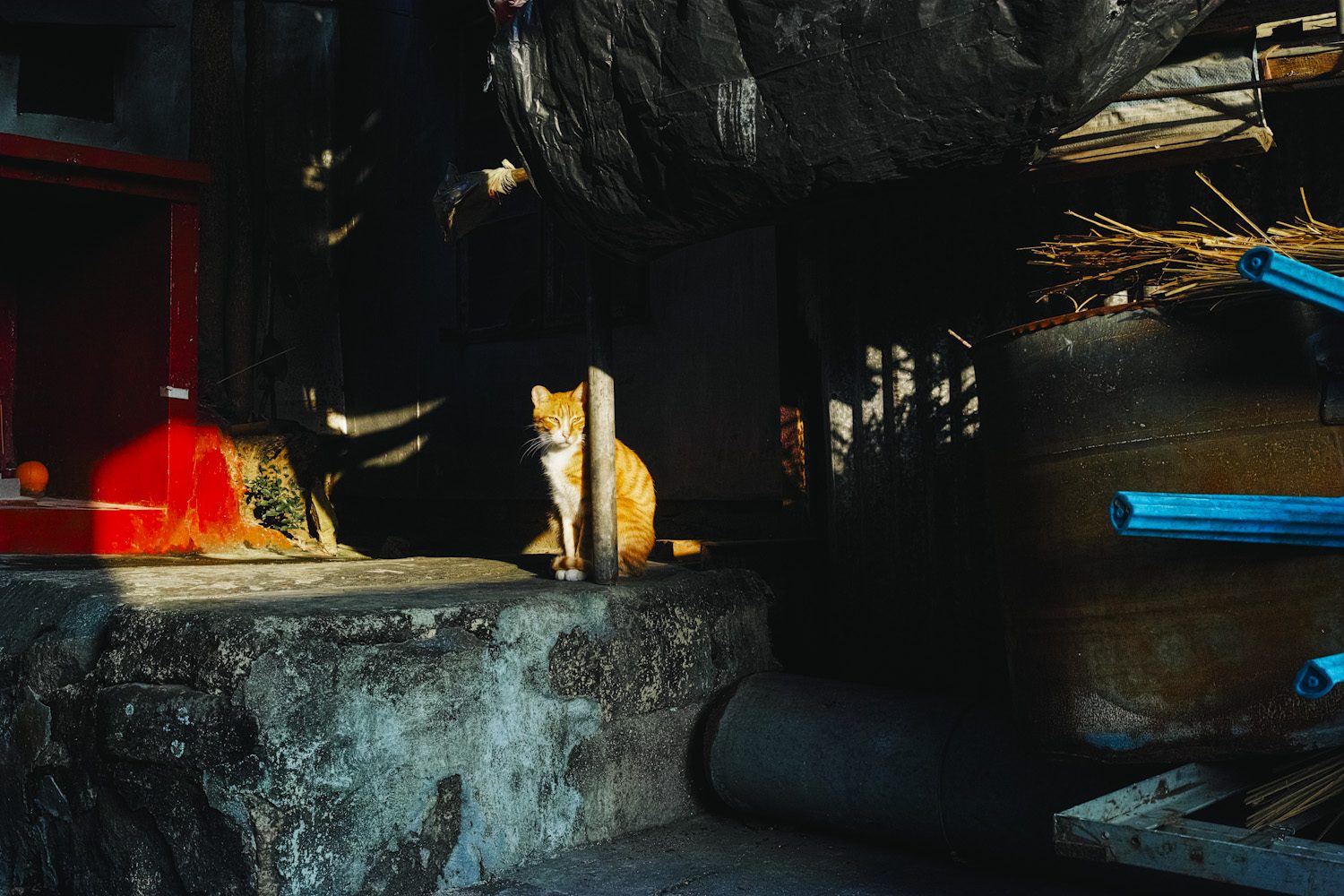 tai_o_lantau_hongkong_china_thevoyageur012