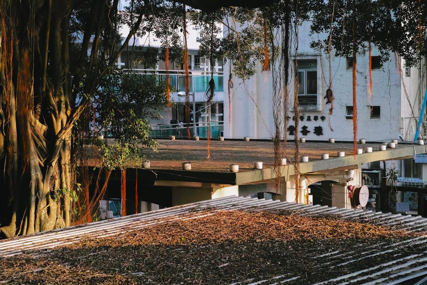 tai_o_lantau_hongkong_china_thevoyageur018