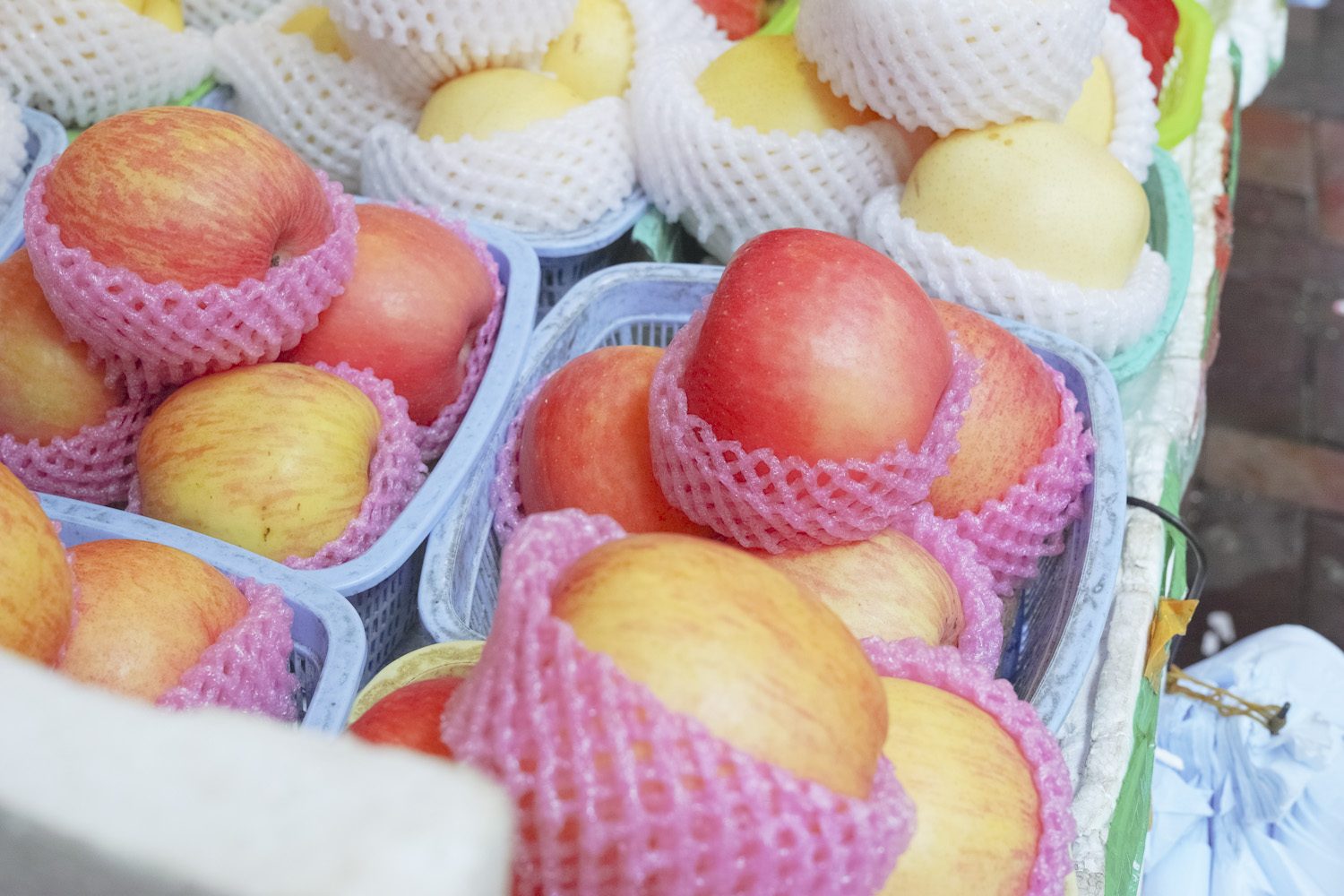 panorama_fruitnets_hongkong_china_china_thevoyageur005