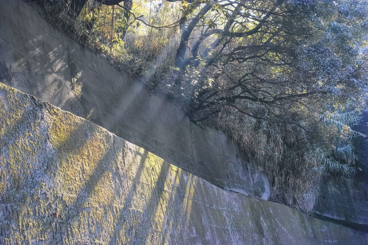 themood_kagoshima_japan_thevoyageur005