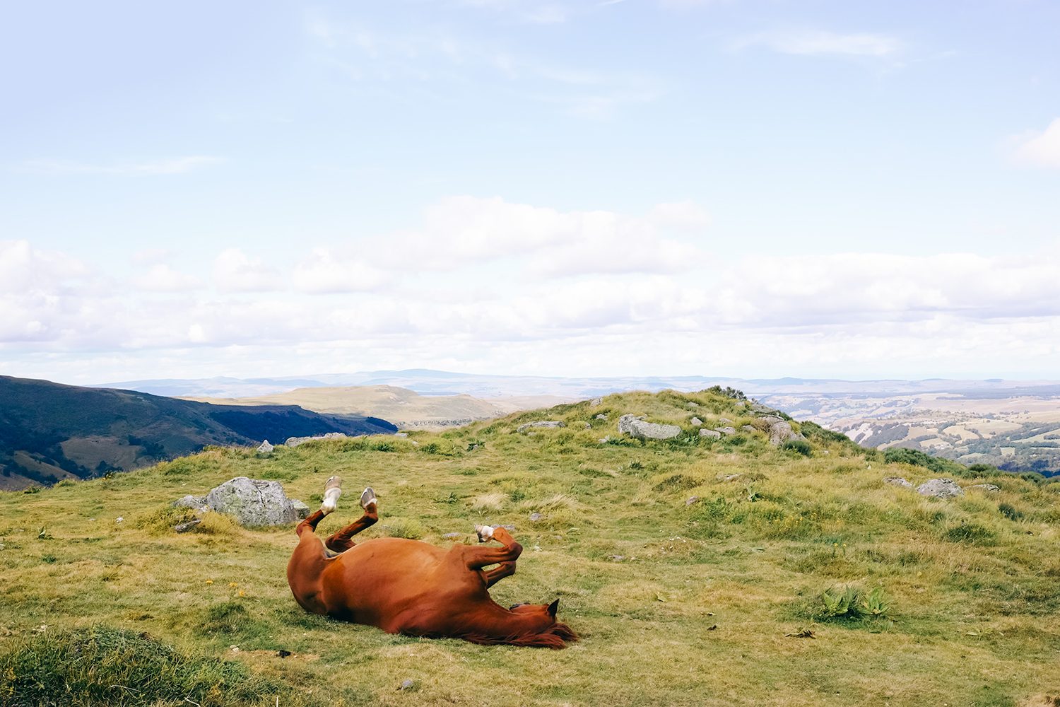 horses_cantal_france_thevoyageur009