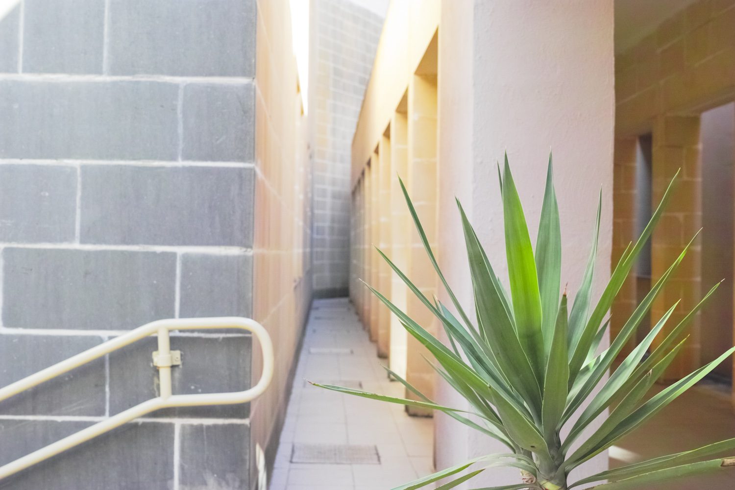 malta_university_richard_england_malta_thevoyageur016