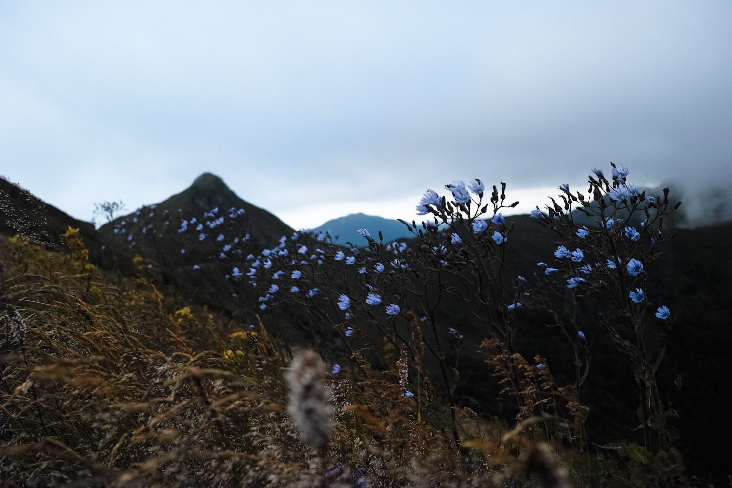 puymary_sunset_cantal_thevoyageur011