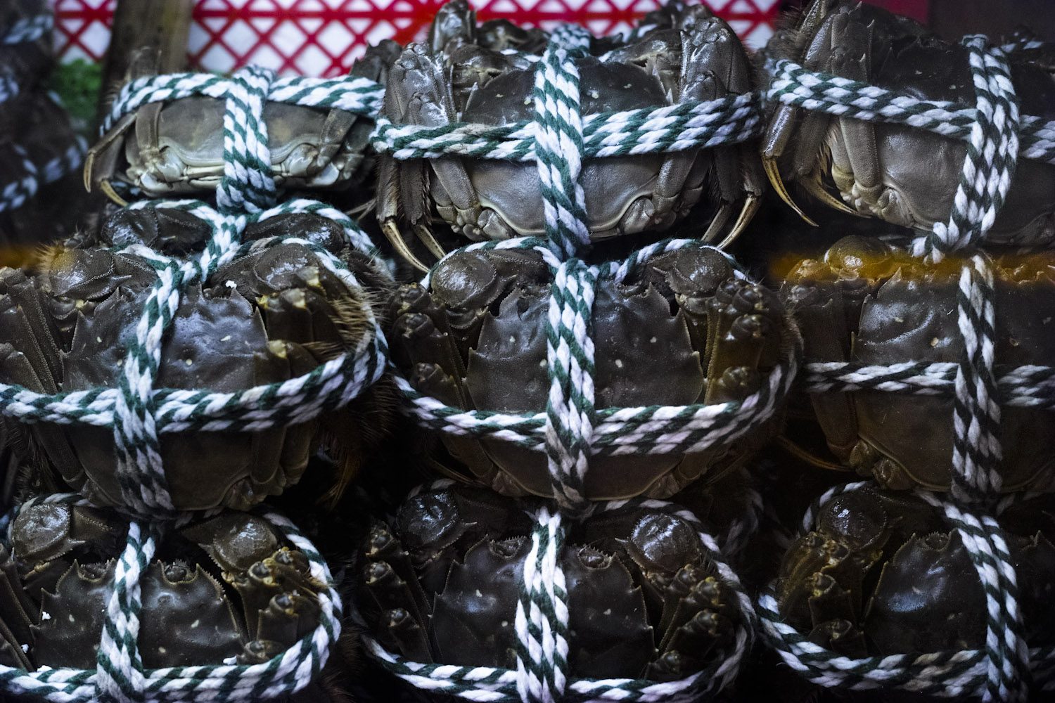 thedetails_hongkong_china_thevoyageur (14)