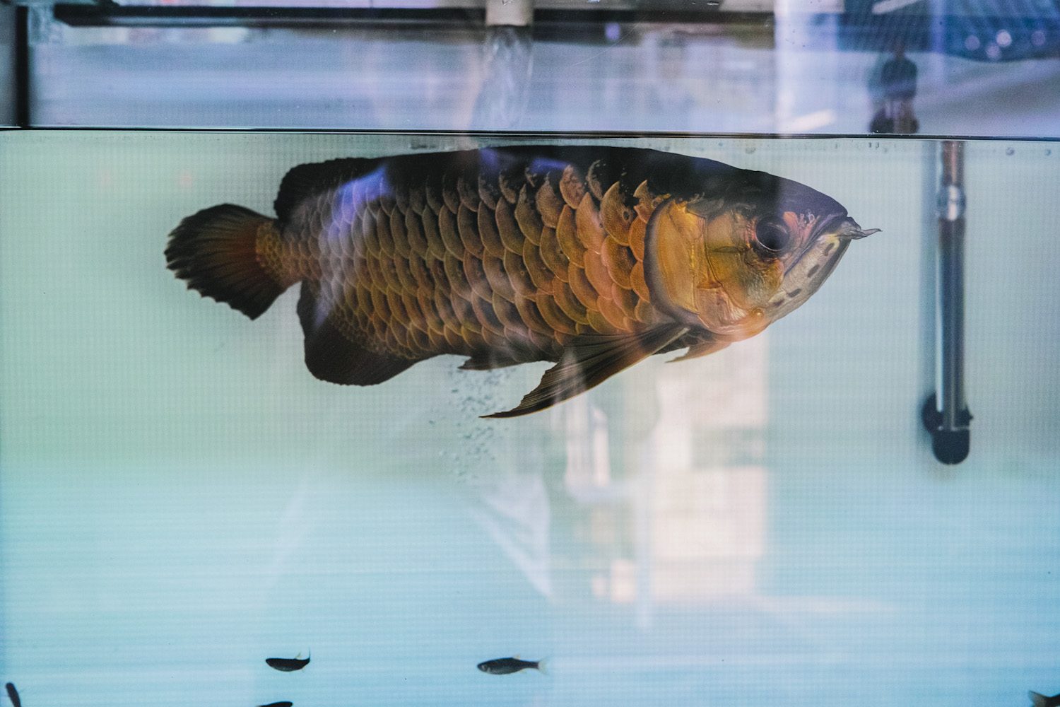 onthesurface_pengchau_taio_lantau_hongkong_china_thevoyageur02