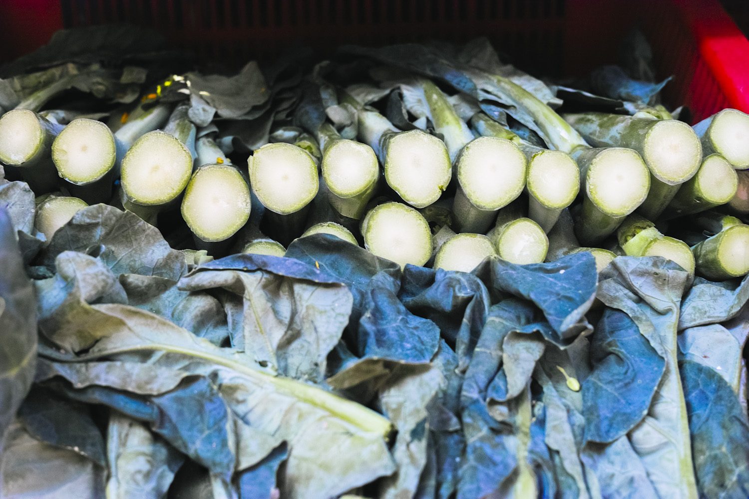 onthesurface_pengchau_taio_lantau_hongkong_china_thevoyageur15