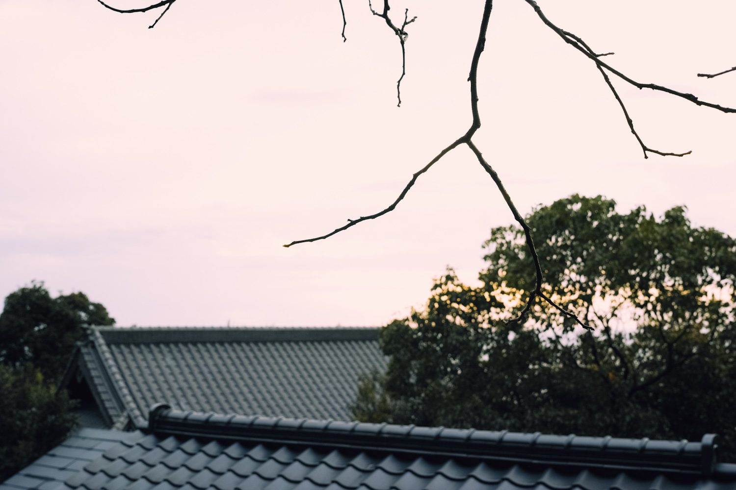 SDIM3600