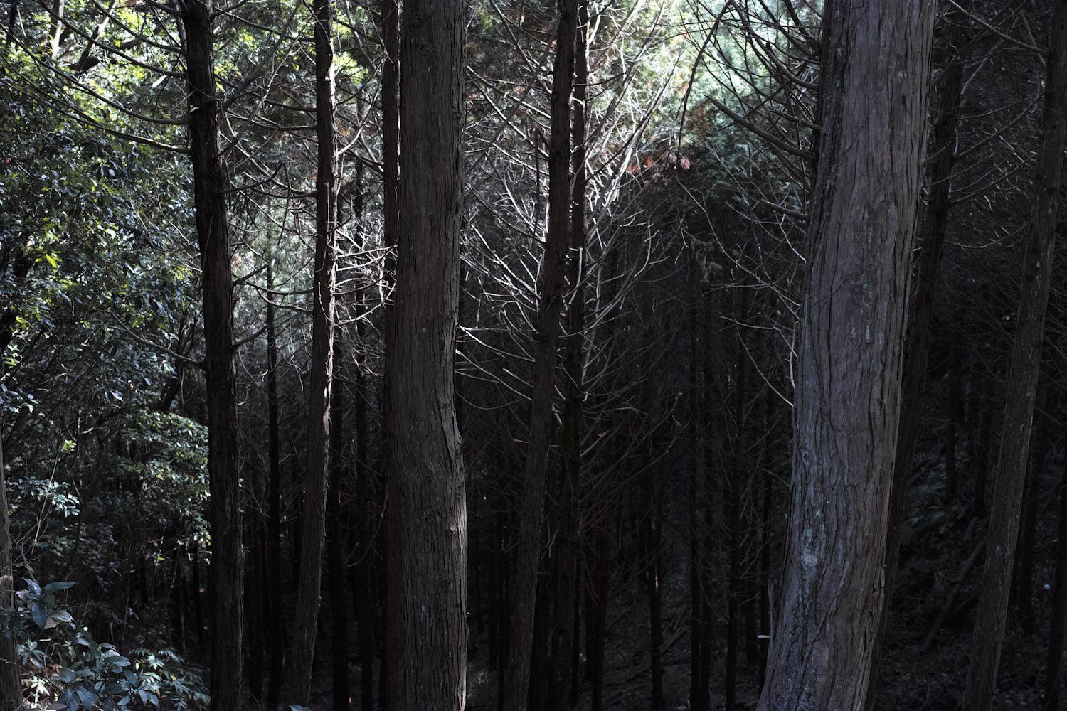 themood_amakusa_japan_thevoyageur18