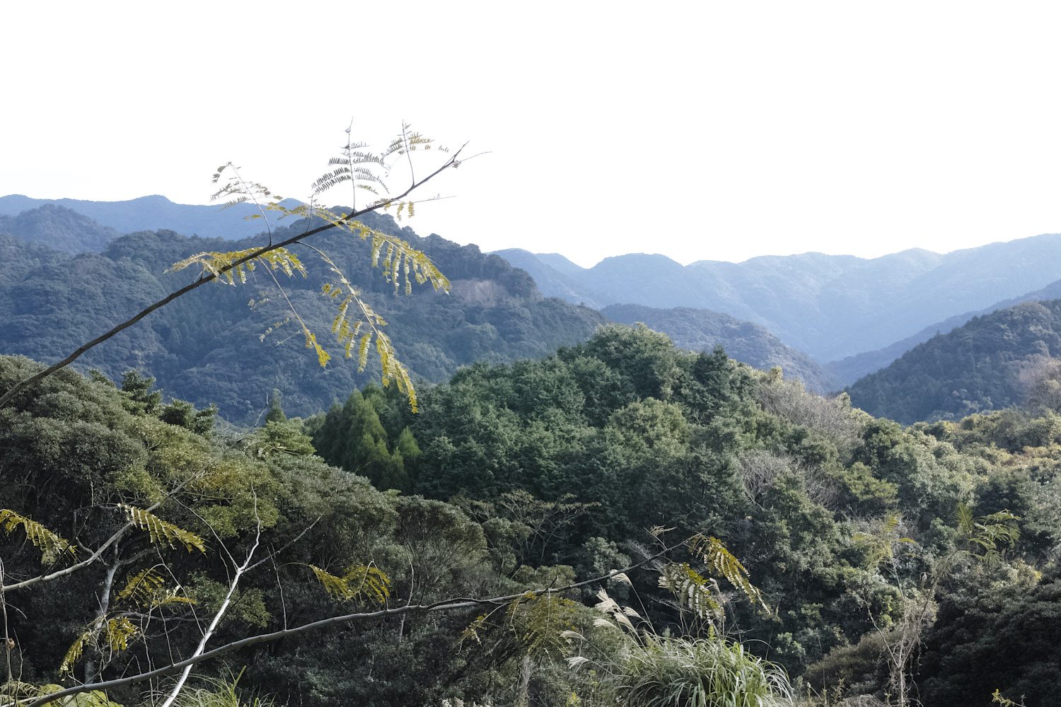 themood_amakusa_japan_thevoyageur19