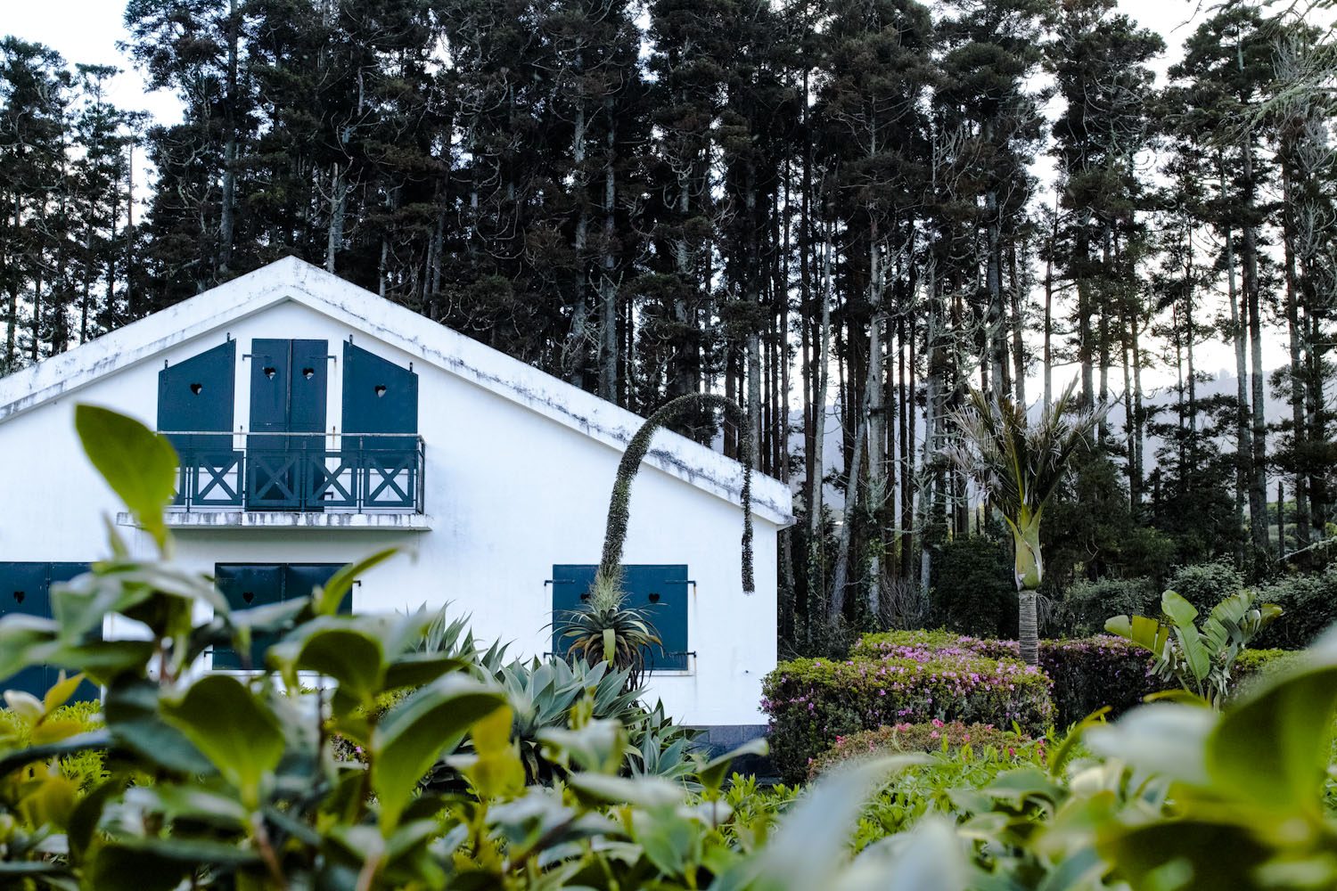 panorama_housesazores_portugal_thevoyageur25