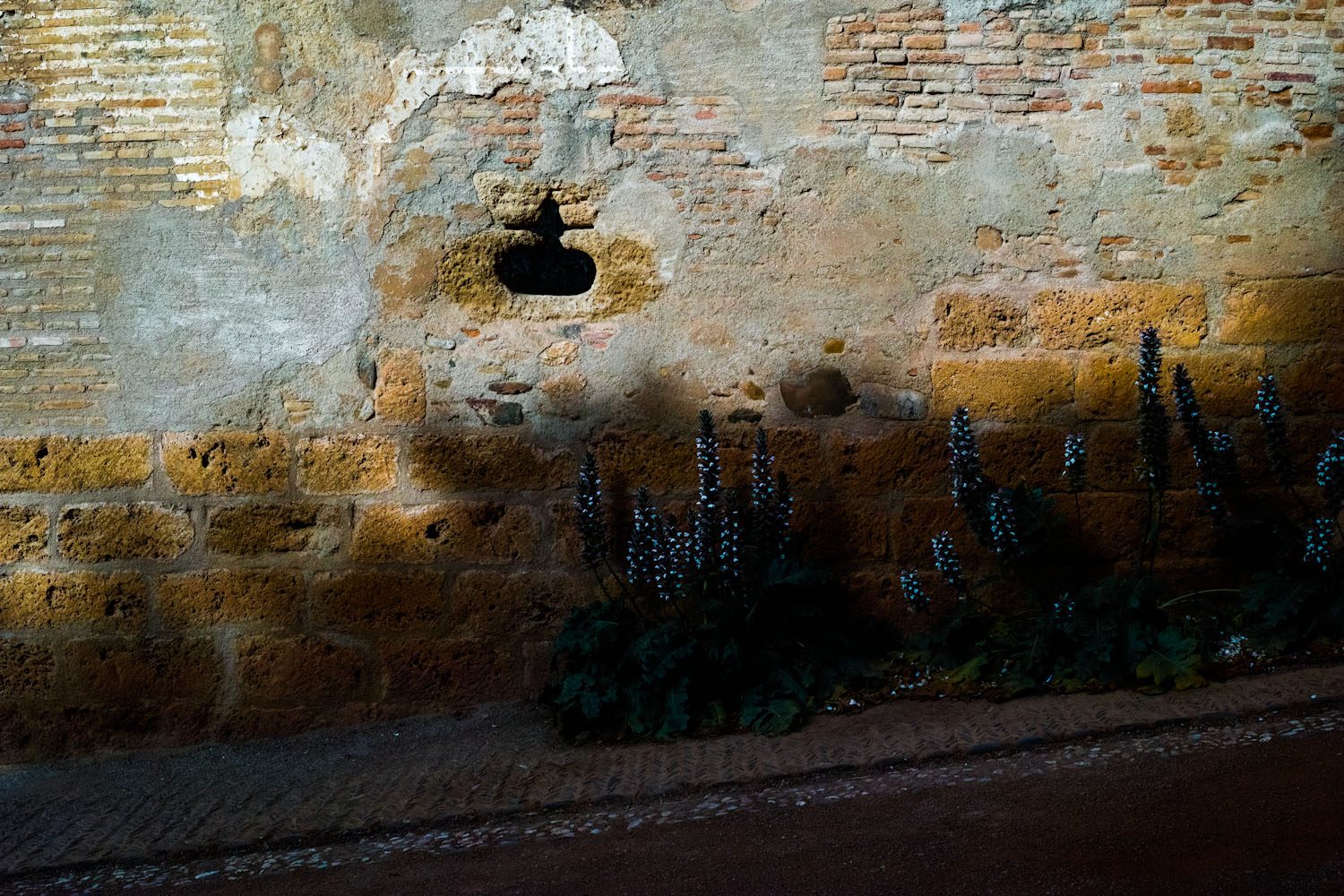 greendelight_alhambra_granada_spain (1)
