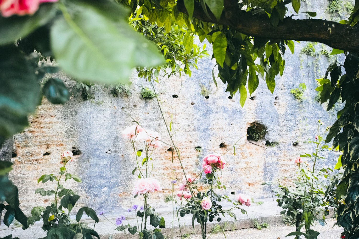 greendelight_alhambra_granada_spain (12)