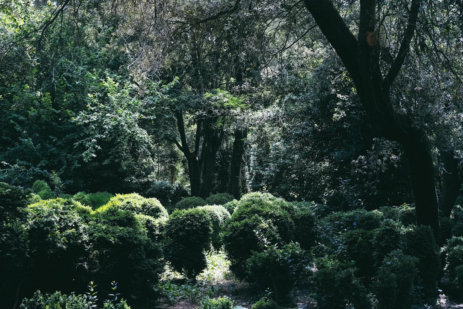 greendelight_alhambra_granada_spain (21)