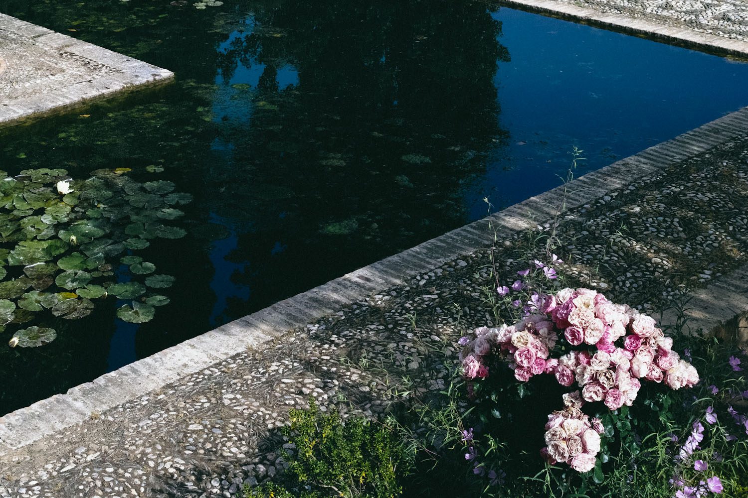greendelight_alhambra_granada_spain (4)