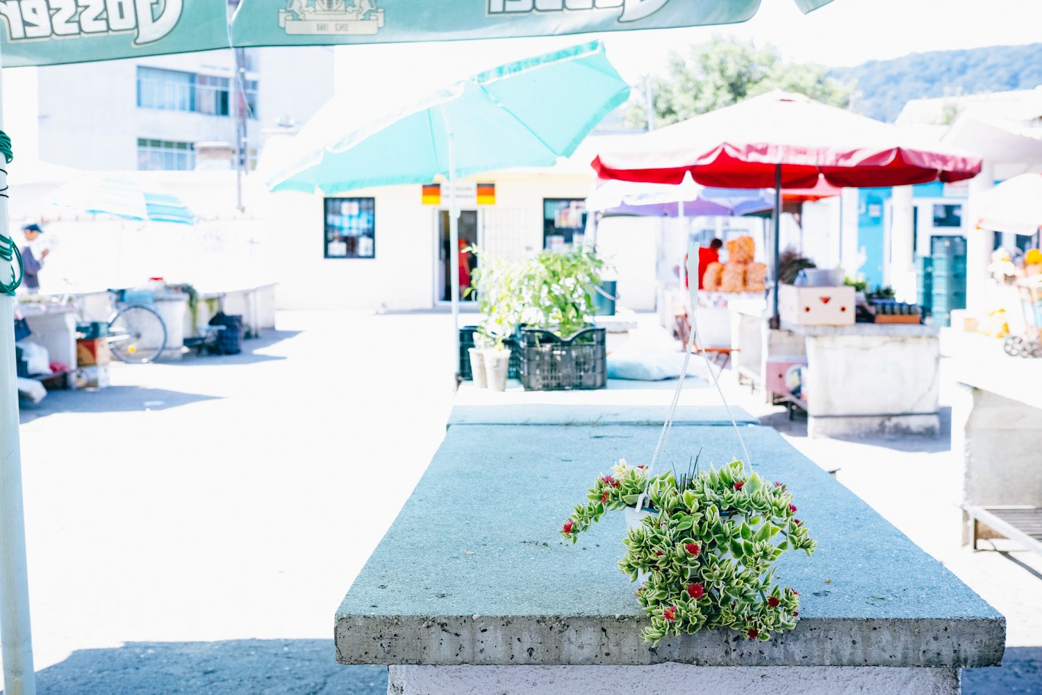 Sighisoara_market_romania_thevoyageur (19 sur 19)