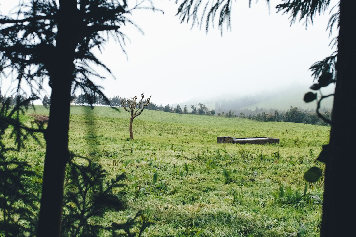 panorama_landscapes_azores_thevoyageur-1