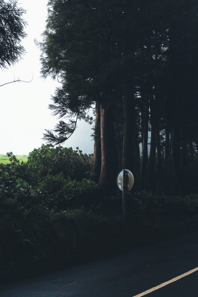 panorama_landscapes_azores_thevoyageur-20