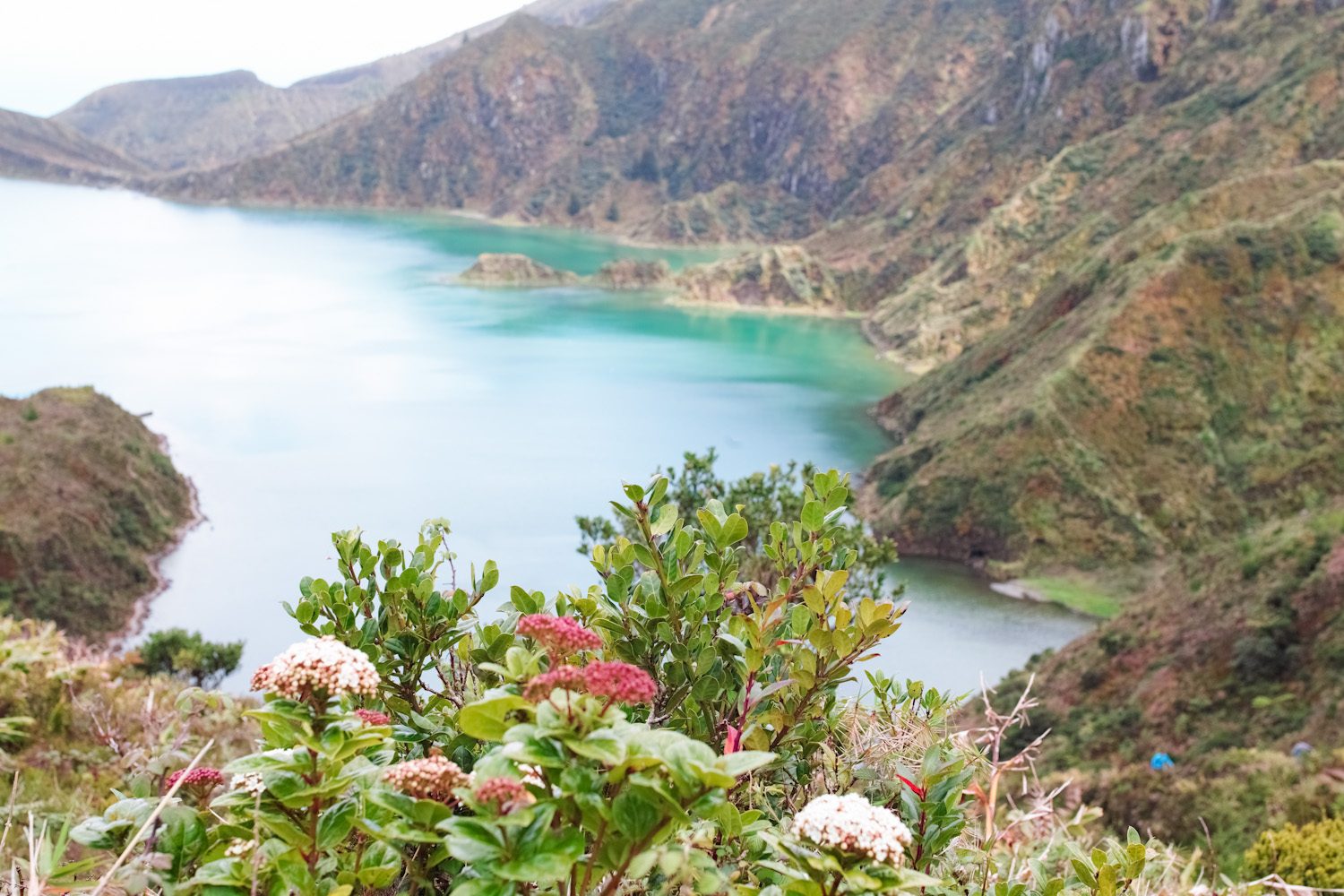 panorama_landscapes_azores_thevoyageur-25