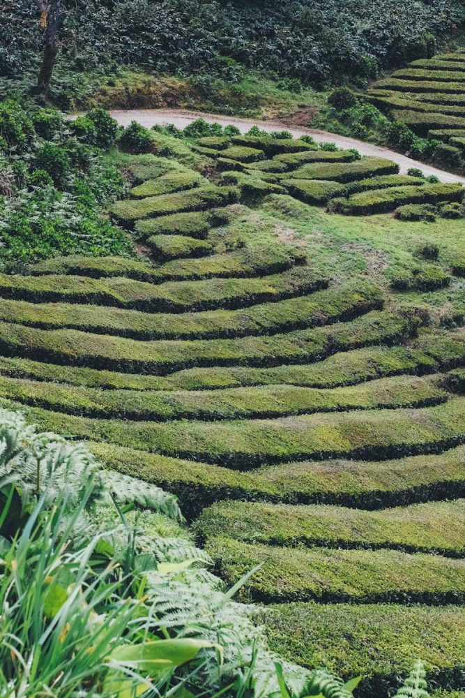 panorama_landscapes_azores_thevoyageur-35