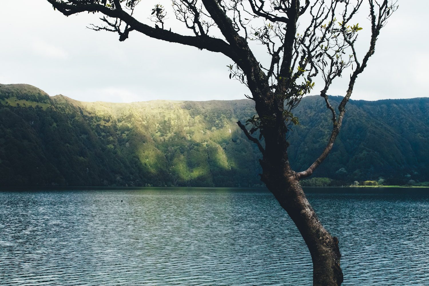 panorama_landscapes_azores_thevoyageur-42