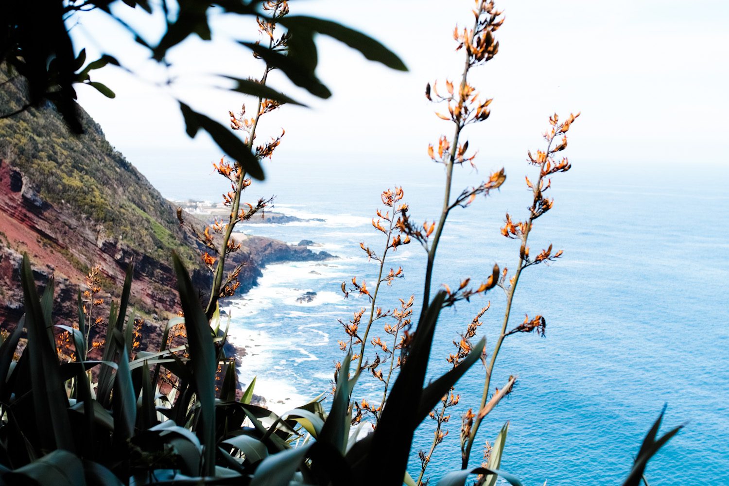 panorama_landscapes_azores_thevoyageur-46