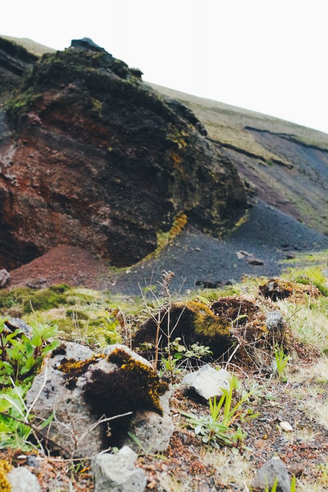 panorama_landscapes_azores_thevoyageur-55